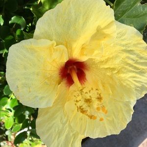 Meet your Posher, Cater enterprizes